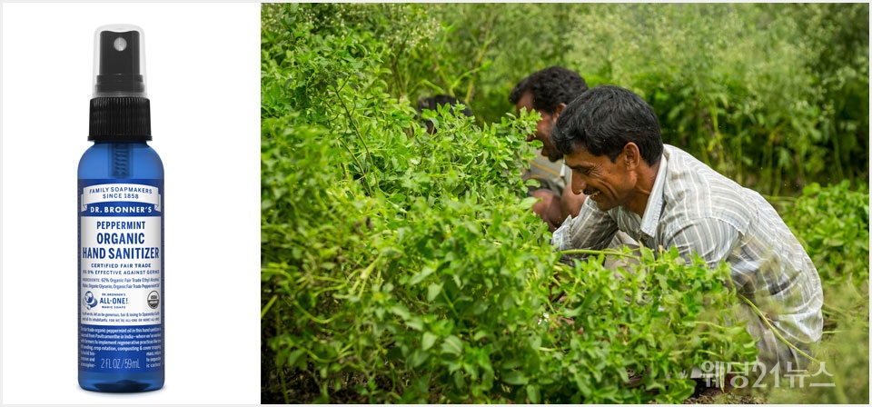 사진 : (좌)닥터 브로너스 ‘페퍼민트 핸드 새니타이저’ (59ml 7,900원), (우)닥터 브로너스 공정 무역 자매 농장인 인도 파비트라멘테에서 재생 유기 농업으로 재배된 유기농 페퍼민트를 수확하는 모습