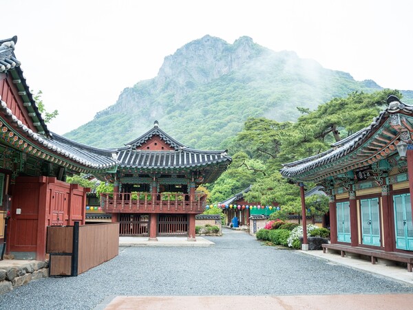 백양사에서의 하룻밤…참선과 사찰음식으로 경험한 깊은 울림